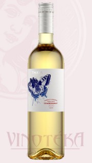 Chardonnay, pozdní sběr, Thaya