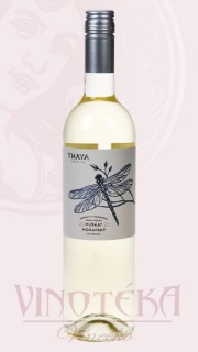  Muškát moravský "pozdravy", THAYA
