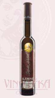 Sauvignier Gris, barrique, slámové, Štěpán Maňák