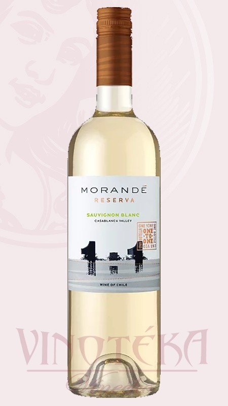 Sauvignon Blanc, reserva, Morandé