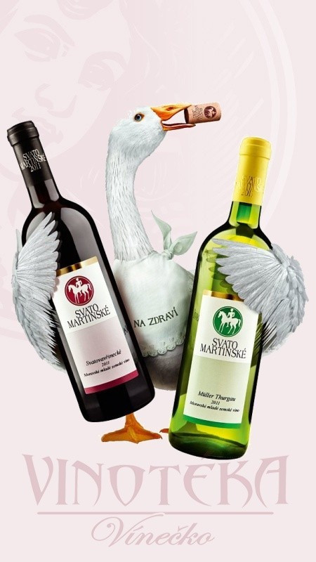  Svatomartinské víno, Muller Thurgau, 2023, Šlechtitelská st.vinařská Velké Pavlovice
