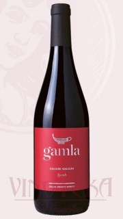 Syrah, Galilee-Galilaa, Gamla