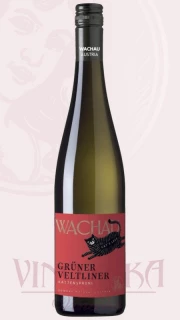Gruner Veltliner, 2024, Wachau, Katzensprung Federspiel
