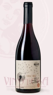Merlot barrique, Vinařství Baláž