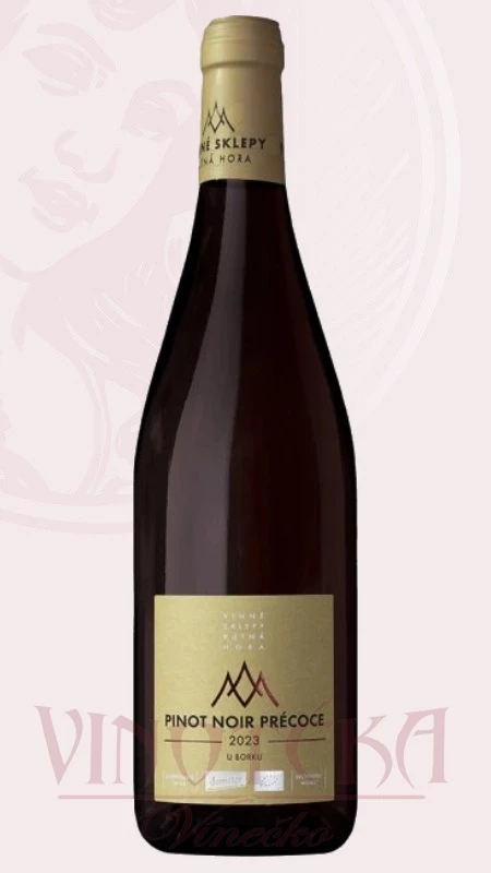 Pinot noir Precoce, Jakubské, Kutná Hora